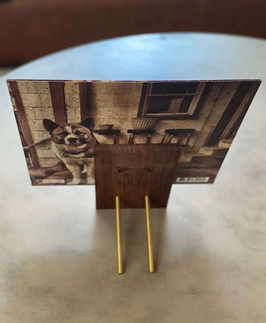 Double Helix Records Cool As Sh%t LP Display Stand New Merch 15 Double Helix Records Cool As Sh%t LP Display Stand New Merch