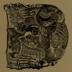 Boris Dear 12" Vinyl New Merch