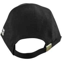 Black Pumas Monoline Microsuede Bill Dad Hat New Merch 9 Black Pumas Monoline Microsuede Bill Dad Hat New Merch