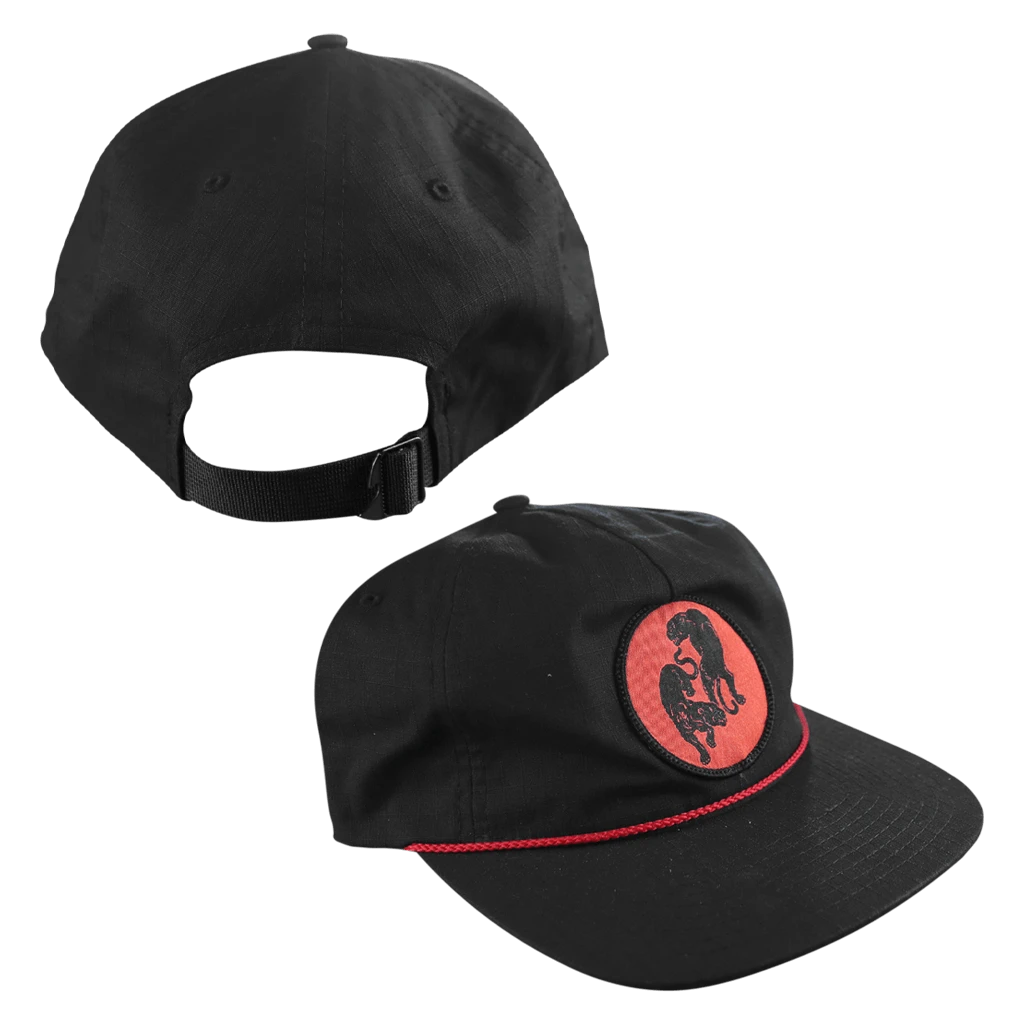 Black Pumas New Merch Double Puma 4 Panel Patch Hat 1 Black Pumas New Merch Double Puma 4 Panel Patch Hat