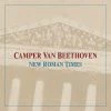 Camper Van Beethoven New Roman Times