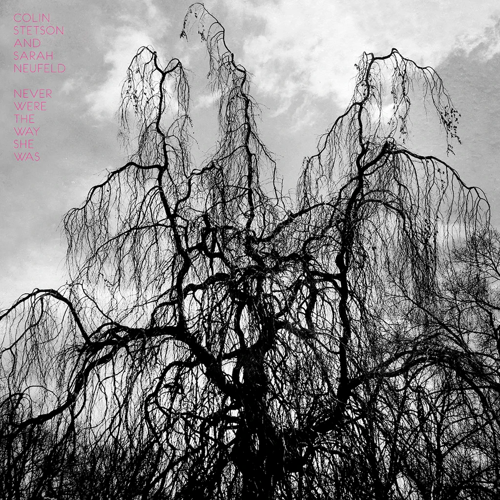 Colin Stetson Never Were The Way She Was 2 Colin Stetson Never Were The Way She Was