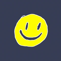 Mac DeMarco New Merch Smiley Navy Shorts