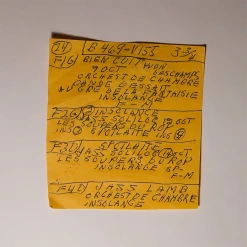 Mac DeMarco Here Comes The Cowboy (Demo) 12" Vinyl New Merch