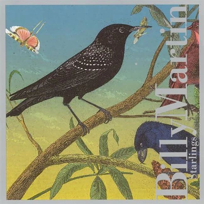Billy Martin New Merch Starlings CD 2 Billy Martin New Merch Starlings CD