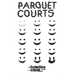 Parquet Courts Sunbathing Animal Poster