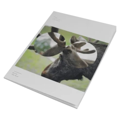 TTNG 13.0.0.0.0 Tablature Book Hard Copy New Merch