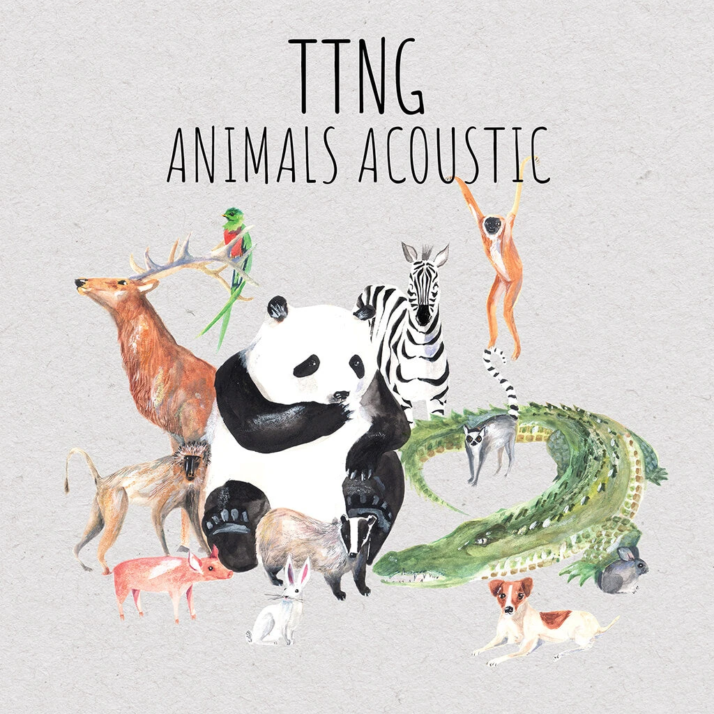 TTNG Animals Acoustic 12" Vinyl 2 TTNG Animals Acoustic 12" Vinyl