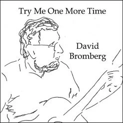 David Bromberg Try Me One More Time CD