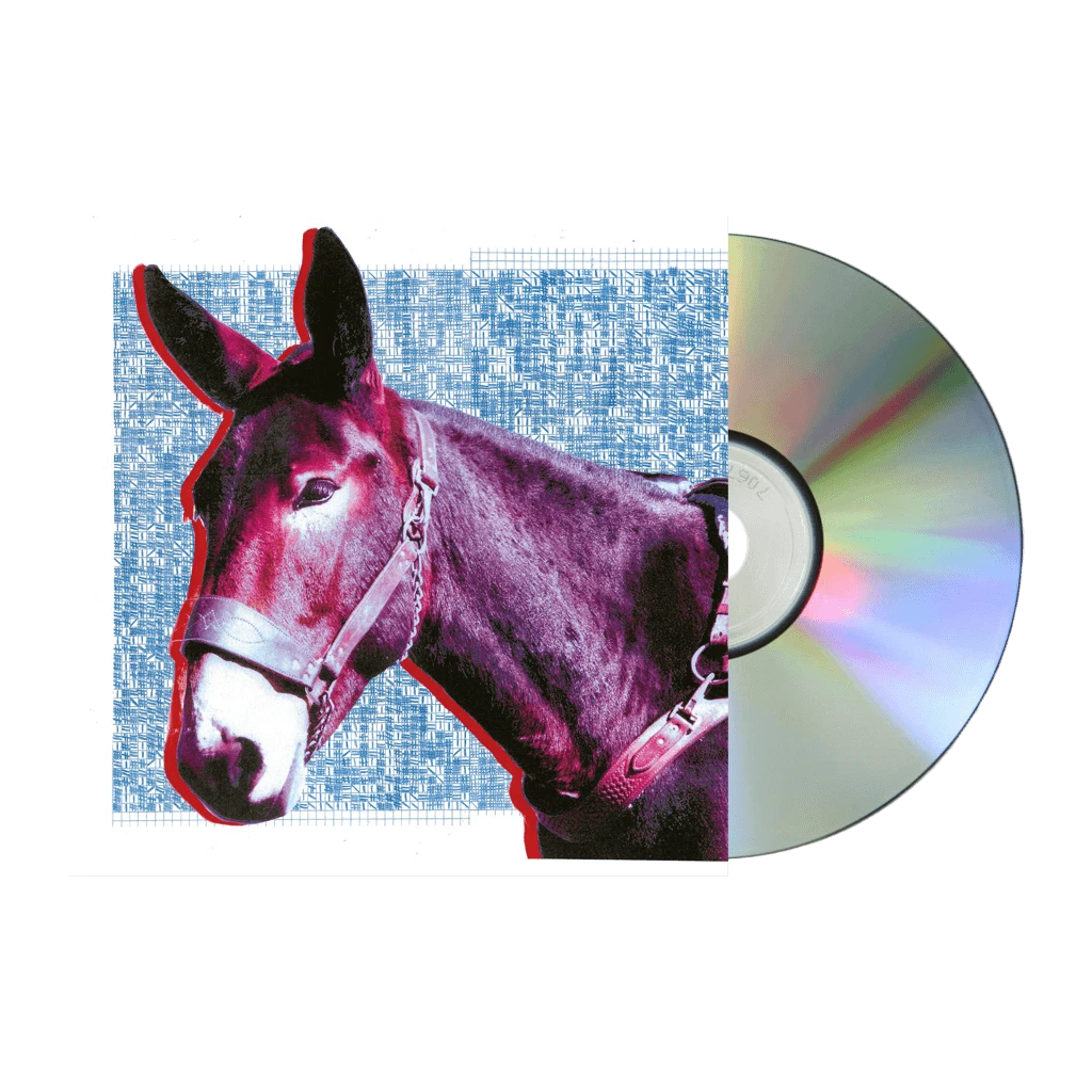 Protomartyr Ultimate Success Today CD New Merch 1 Protomartyr Ultimate Success Today CD New Merch