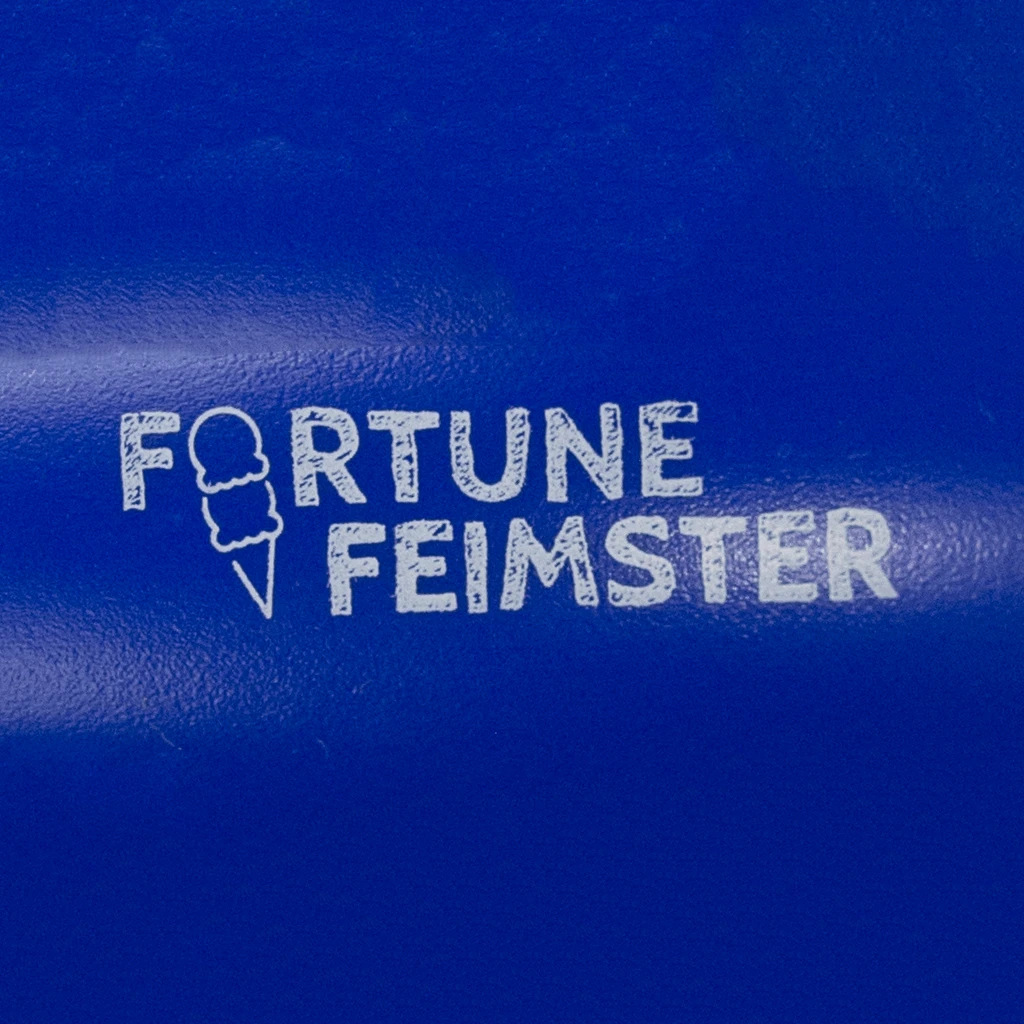 Fortune Feimster Ice Cream Scoop New Merch 5 Fortune Feimster Ice Cream Scoop New Merch