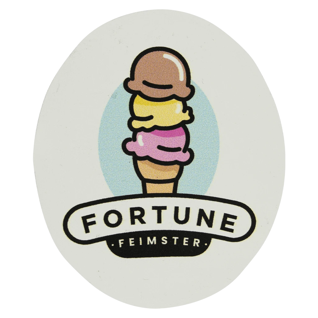 Fortune Feimster New Merch Ice Cream Magnet 2 Fortune Feimster New Merch Ice Cream Magnet